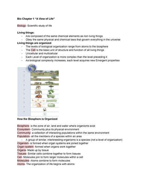 Bio Chapter 1 Lecture 的图像结果