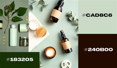 Color Graphic Design 的图像结果