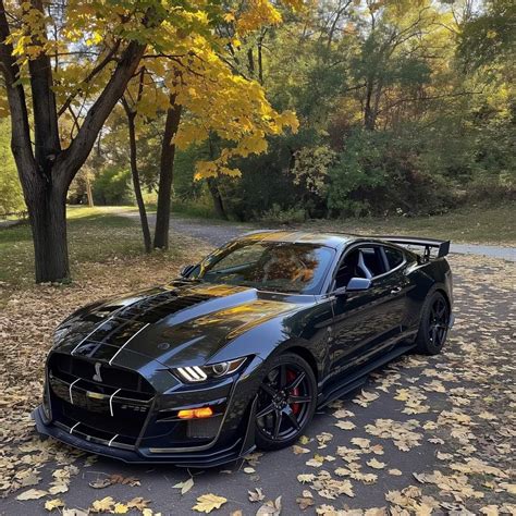 black cars | Luxury cars, Mustang, Black mustang