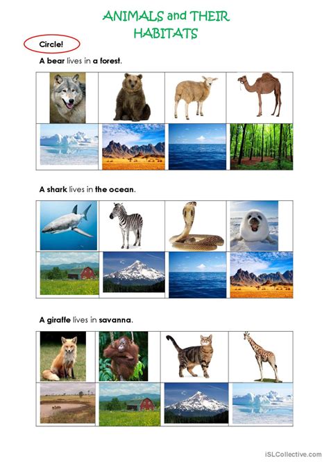 Animals And Their Habitats Worksheet Pdf at Tammy Pough blog