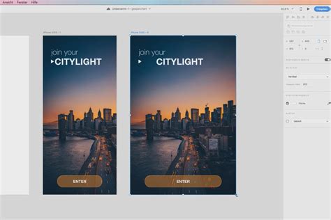 Adobe XD Tutorial 的图像结果