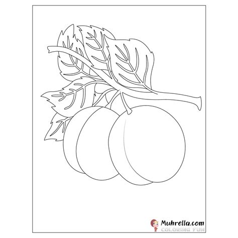 Peach Tree Coloring Pages at Rose Ream blog