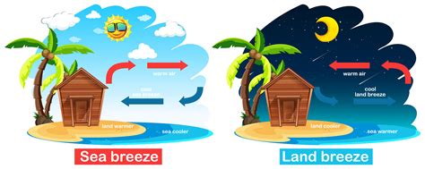 Land Breeze Diagram