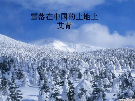 雪落在中国的土地上课件1_word文档在线阅读与下载_无忧文档