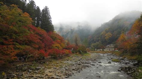 Aichi Prefecture Tourism (2024): All You Need to Know Before You Go