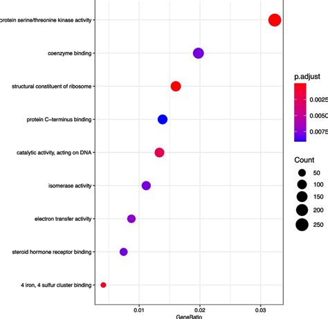 Go Annotation Tools 的图像结果