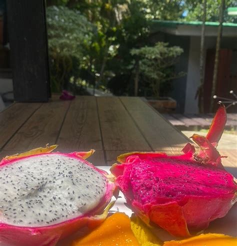 HARMONY NATURIST RESORT (Phuket/Rawai) - Hotel Reviews, Photos, Rate ...