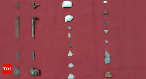 Prayagraj: Team of archaeologists from ISDC finds 4 dozen ...