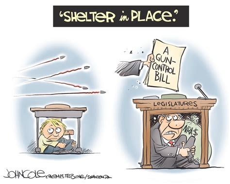 Image result for Politics Cartoon