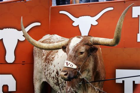 Texas Longhorns Football: Top 20 Reasons to Be a Longhorns Fan