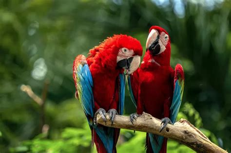 Image result for How to Read a String in Java Using Command Line Arguments