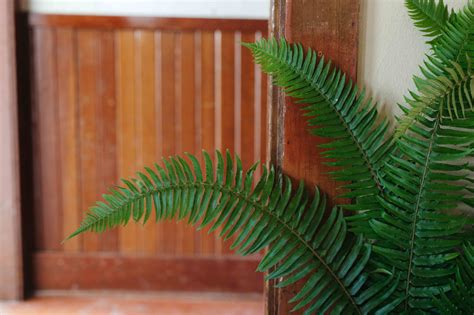 Portland Oregon Temple Wedding - Danielle Peterson Photography