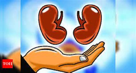 50 Kidney Transplants In 4 Months At Nims | Hyderabad News - Times of India