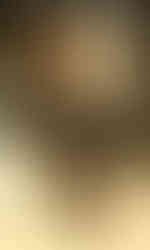 Asimo Altezza 的图像结果