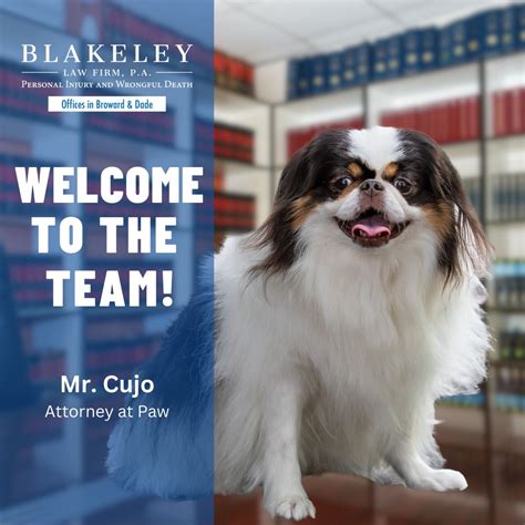 BLAKELEY LAW FIRM, P.A. on LinkedIn: #jrocklaw #blakeleylawfirm # ...