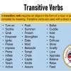 Please tell me the verbs in each sentence and also tell that the verbs ...