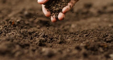 Image result for Soil Testing for Load Capacity