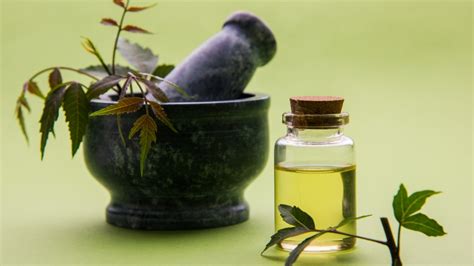 Neem Oil Benefits: For Healthy Hair, Clear Skin & Natural Care