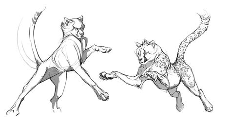 Image result for Draw Panther Tutorial