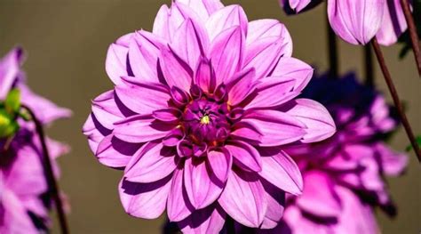 Image result for Local in Linux Script
