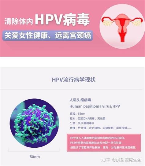 HPV33阳性严重吗一般需要治疗多久 - 知乎