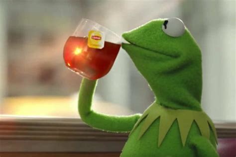 Image result for kermit drinking tea
