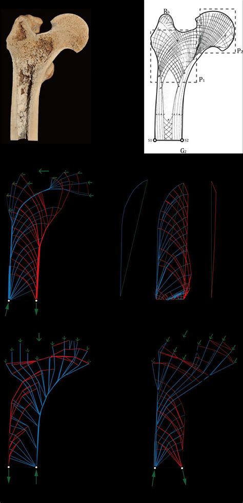 Image result for Building Layout Optimization