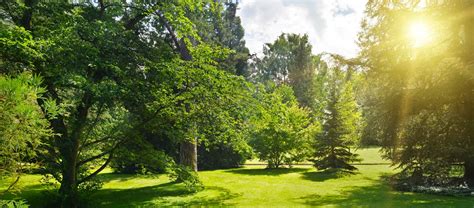 Oaks-Hines Funeral Home & Crematory | Canton & Elmwood, IL