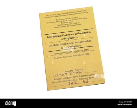 Yellow Fever Vaccination And The Cost Involved How To