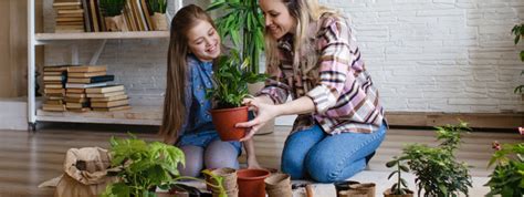 Plant Care 101: Avoiding Common Mistakes for Healthier Plants – Pariworld