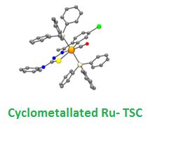 Centre for Organometallic Chemistry, Bharathidasan University