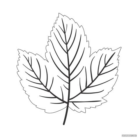 Image result for Paper Leaf