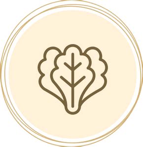 Unwrap Joyful Surprises for Every Occasion! – UNWRAP HAPPINESS