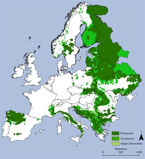 Lycographos: Reintroducing Large Carnivores to Britain: Grey Wolf, Eurasian Lynx and European ...
