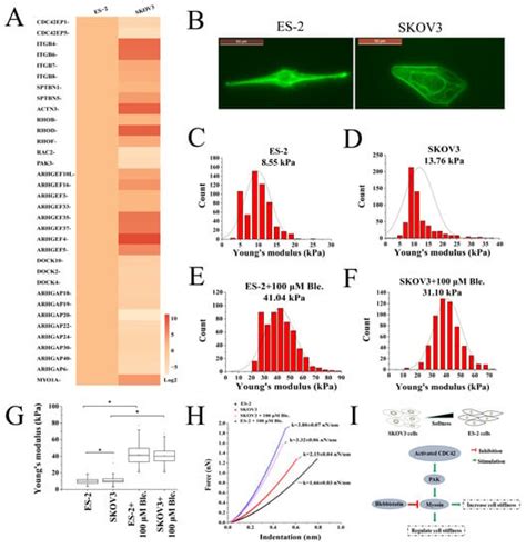 Staphylococcal Enterotoxin C2 Mutant-Induced Antitumor Immune Response ...