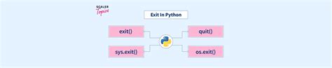 Exit Python 的图像结果