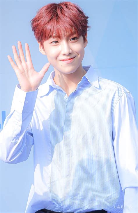 Lab 26 Logo 的图像结果