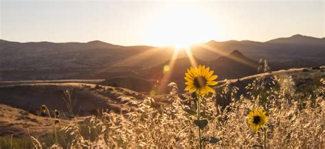 Stanfield - Visit Eastern Oregon