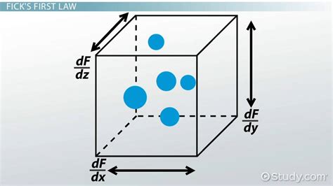 Image result for Diffusion Rate Equation