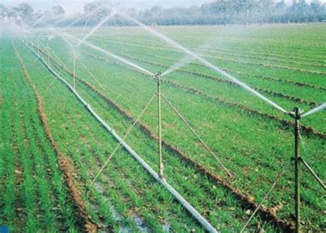 案例展示_客户案例_山东农福节水灌溉设备有限公司