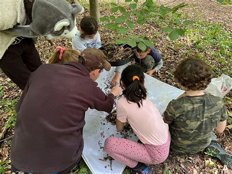 Wytham Wild Day Camp (7-11s) Easter 2024, Wytham Woods, Oxford, 11 ...