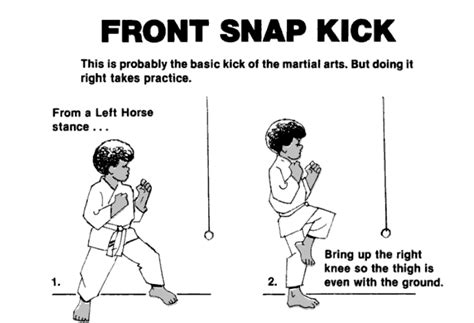 Image result for Kung Fu Tutorial