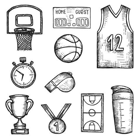 Premium Vector | Basketball sport objects set vector sketches