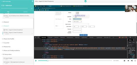 Sdet Python Selenium 的图像结果