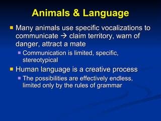 Image result for Language Master Animals