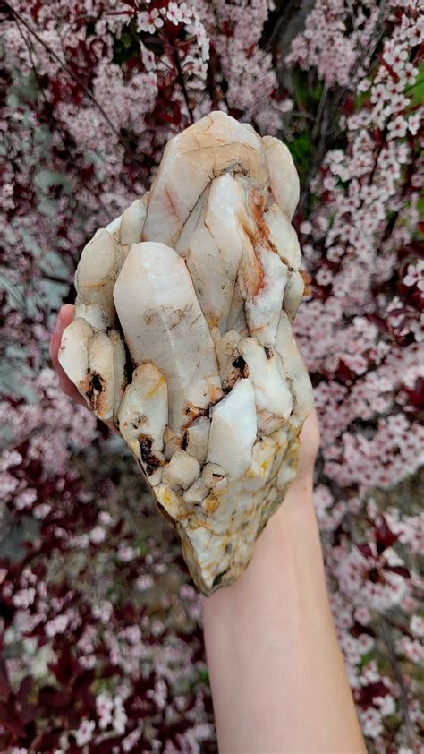 Big boi quartz crystal found in western montana : r/rockhounds