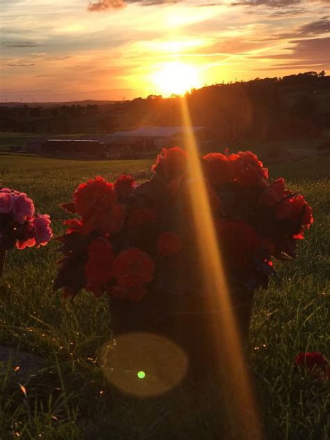 CASTLE GUARDS FARM RETREAT (Bridekirk) - Farmhouse Reviews & Photos ...