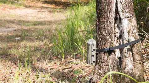 Image result for How to Use a Trail Camera