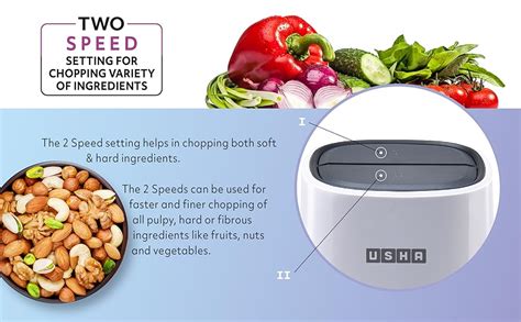 Buy USHA Mini Chopper Nc300Xsw 300 W Multipurpose Chopper Capacity 500 ...