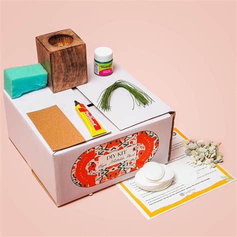 Buy Paper Plant Making DIY Kit Online On Zwende